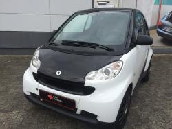Teilfolierungsmartserviceklappe1
