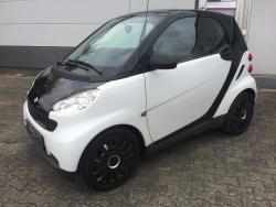 Teilfolierungsmartserviceklappe3