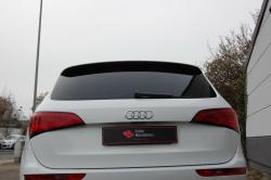 AudiQ5scheibentoenung955