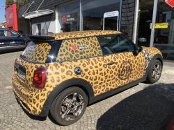 Vollfolierungminileopard01