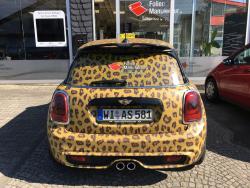 Vollfolierungminileopard02