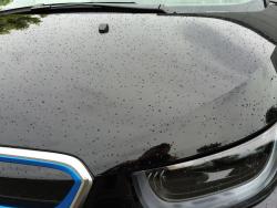 BMWi3lackschutzfolierung4