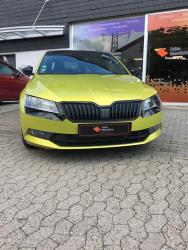 lackschutzskodasuperb1