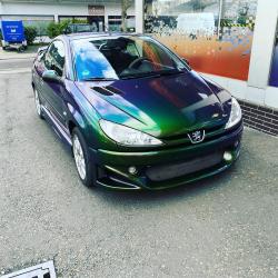 Vollfolierungpeugeot-206-urban-jungle1