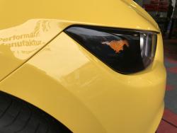 steinschlagschutzmustang16