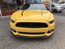 steinschlagschutzmustang4