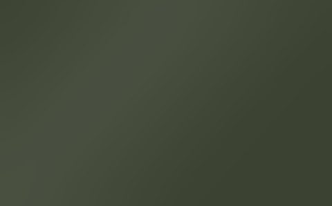 Folienfarbe Nato olive matt