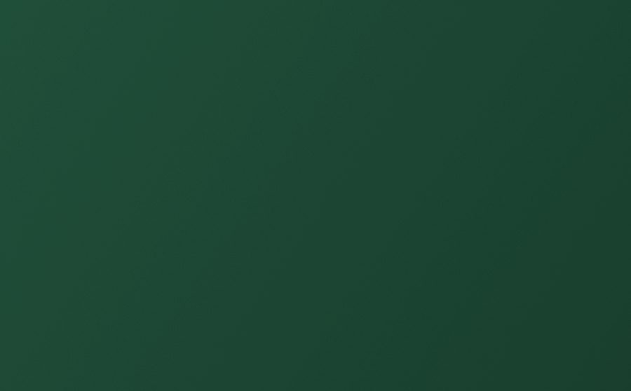 Folienfarbe DYNOgreen-matte