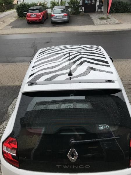 Renault Clio Zebrafolierung